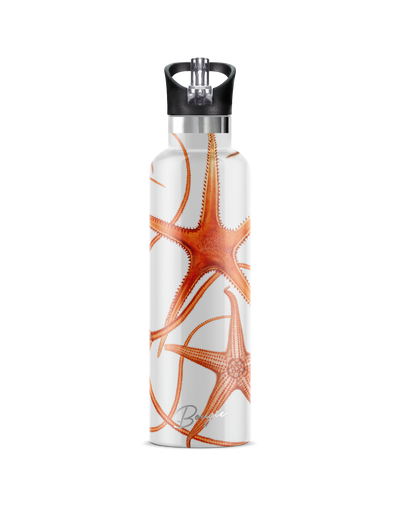 Starfish vintage design water bottle
