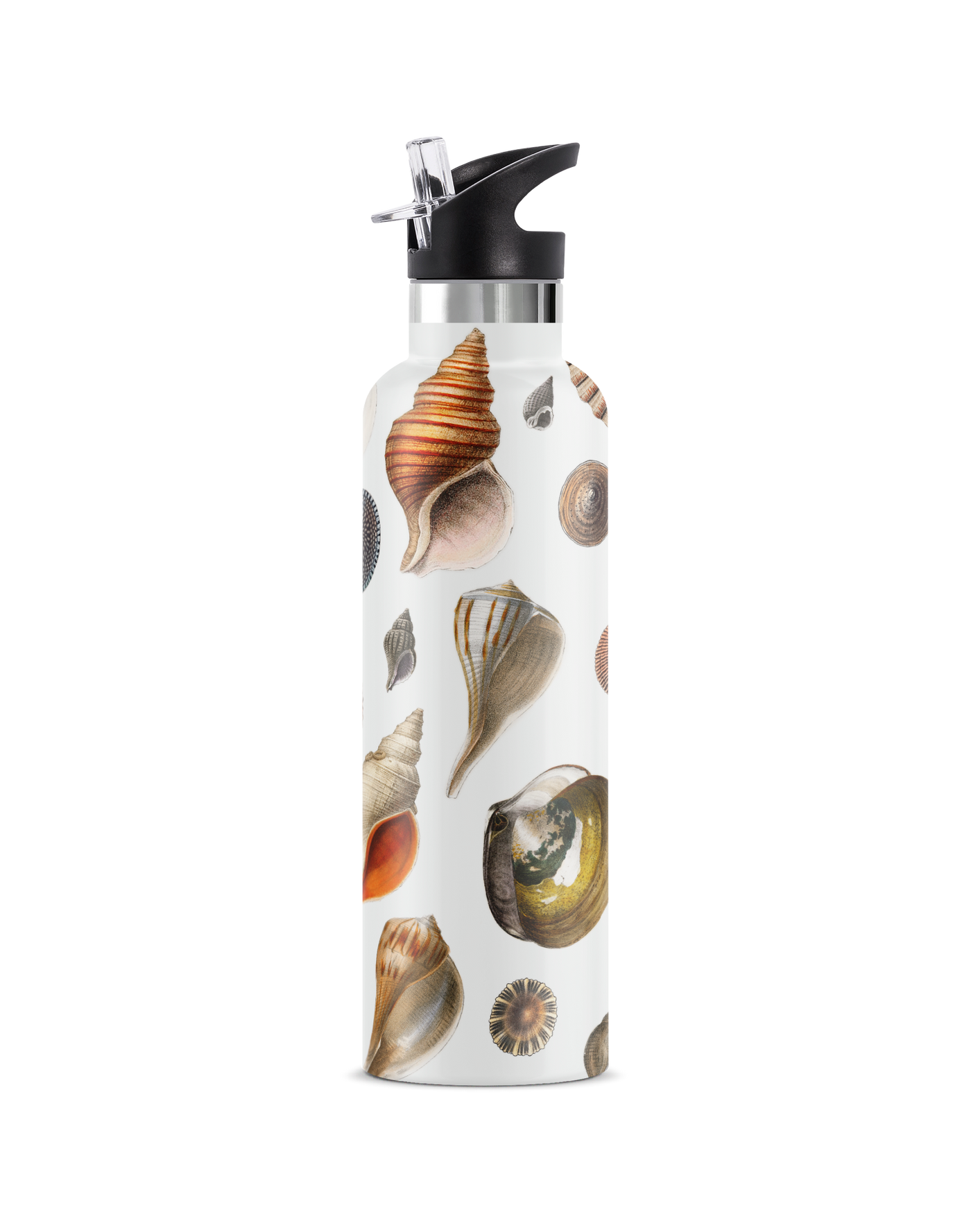 Conchas Maris | 25oz. Insulated Water Bottle