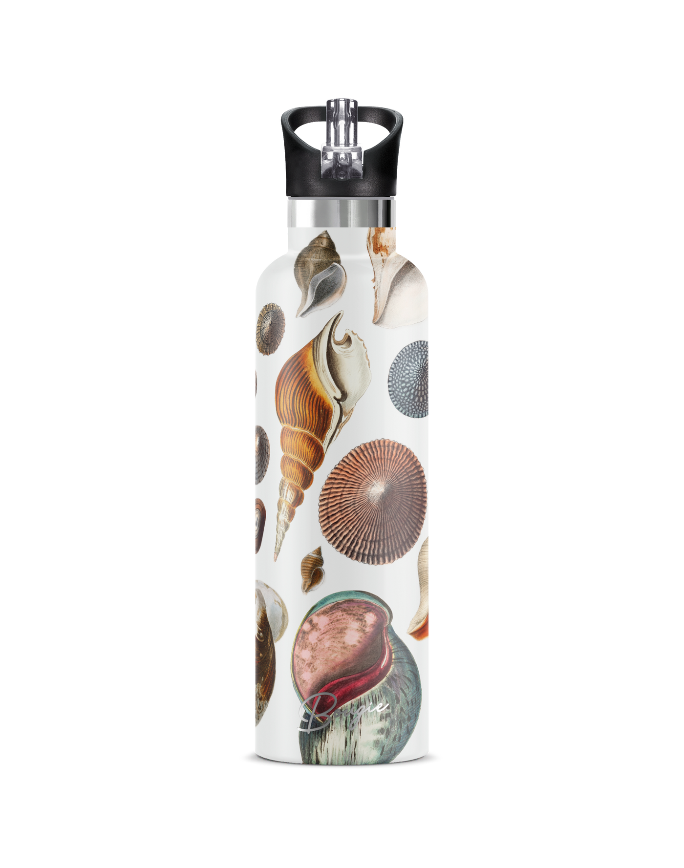 Conchas Maris | 25oz. Insulated Water Bottle