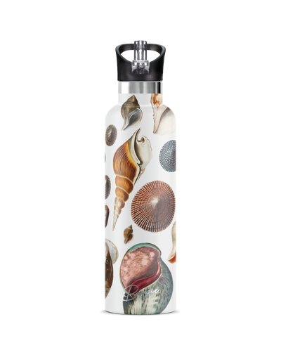 Conchas Maris | 25oz. Insulated Water Bottle