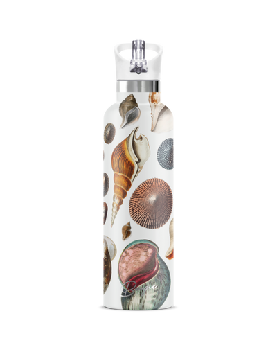 Conchas Maris | 25oz. Insulated Water Bottle