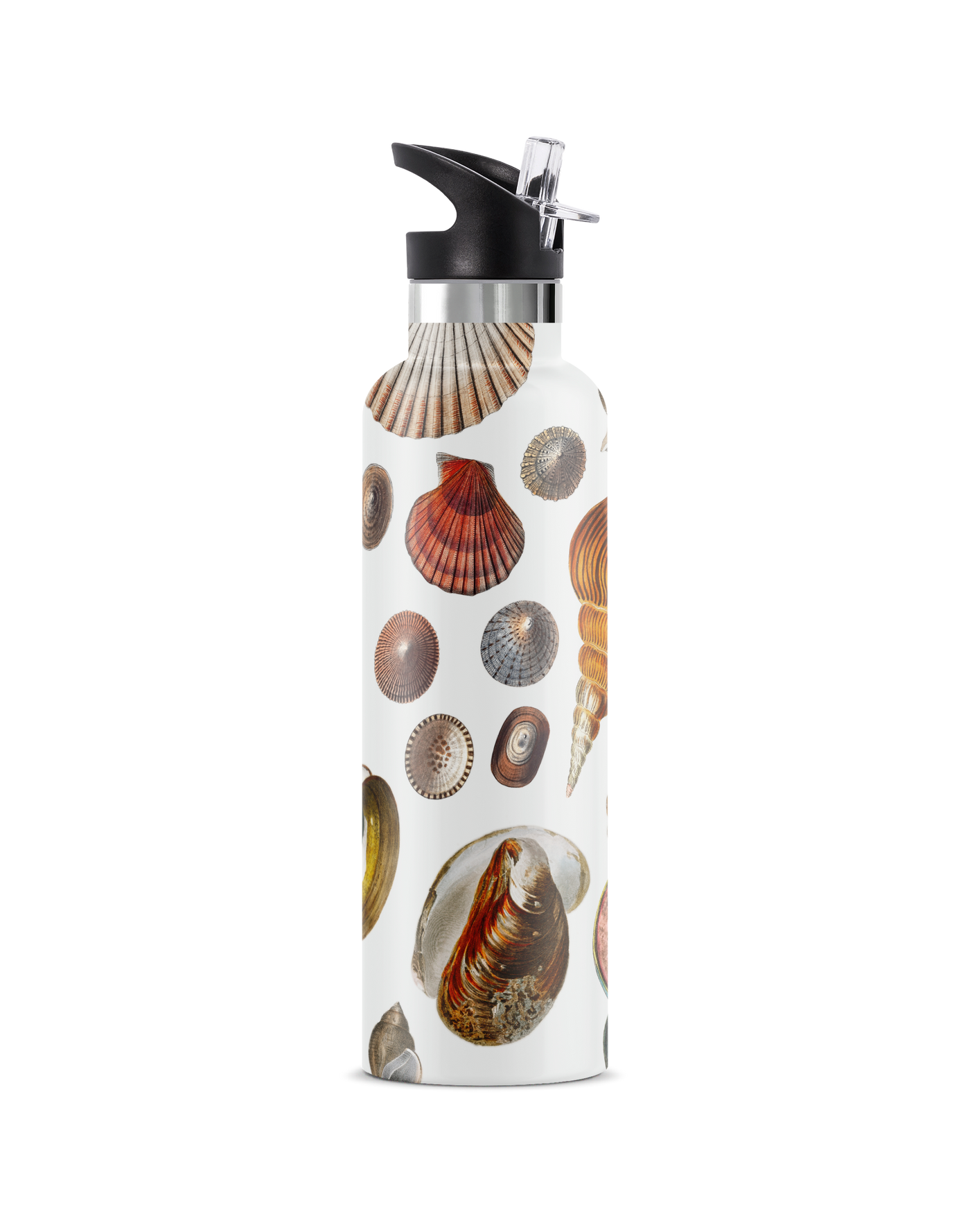 Conchas Maris | 25oz. Insulated Water Bottle