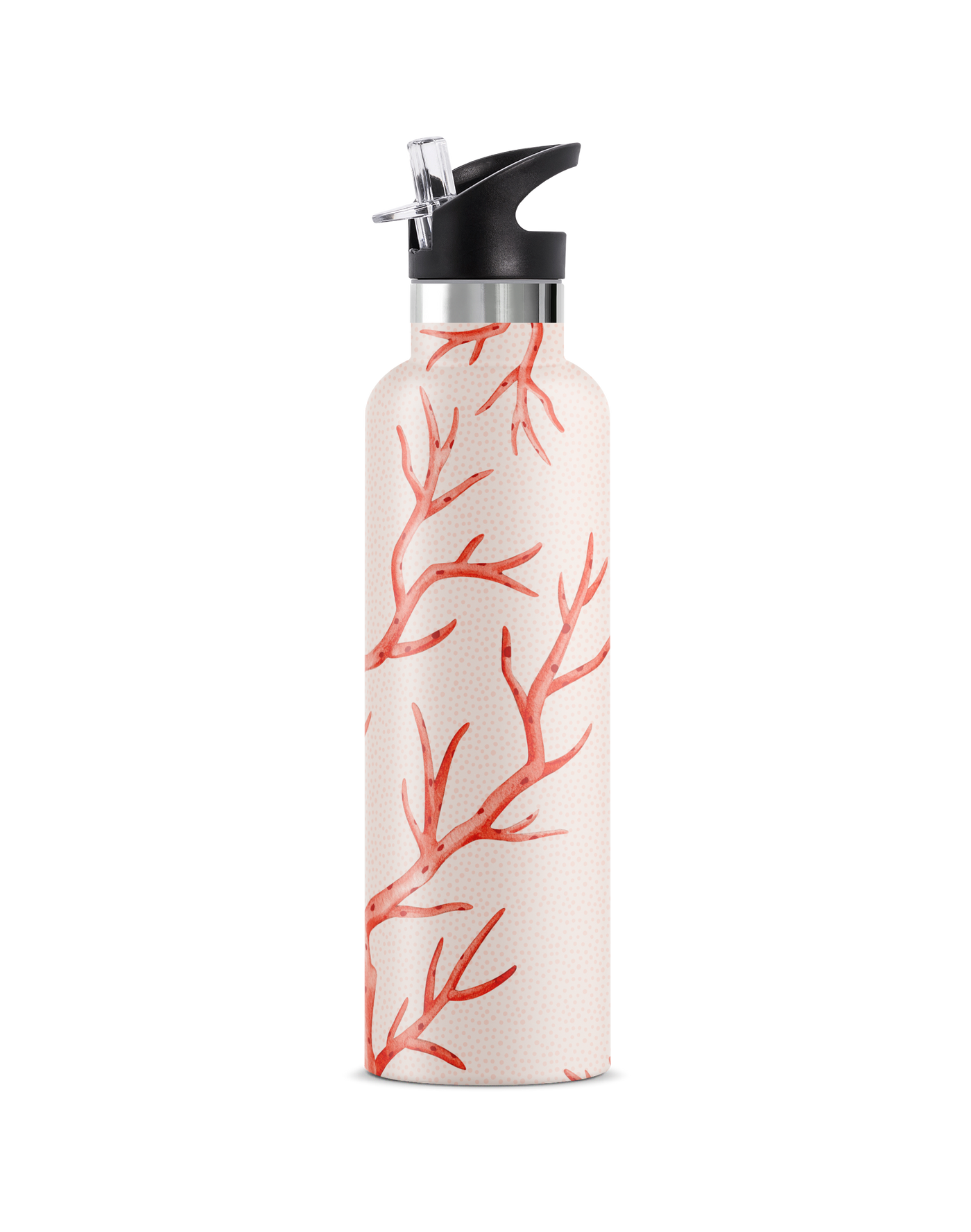 Corallia | 25oz. Insulated Water Bottle