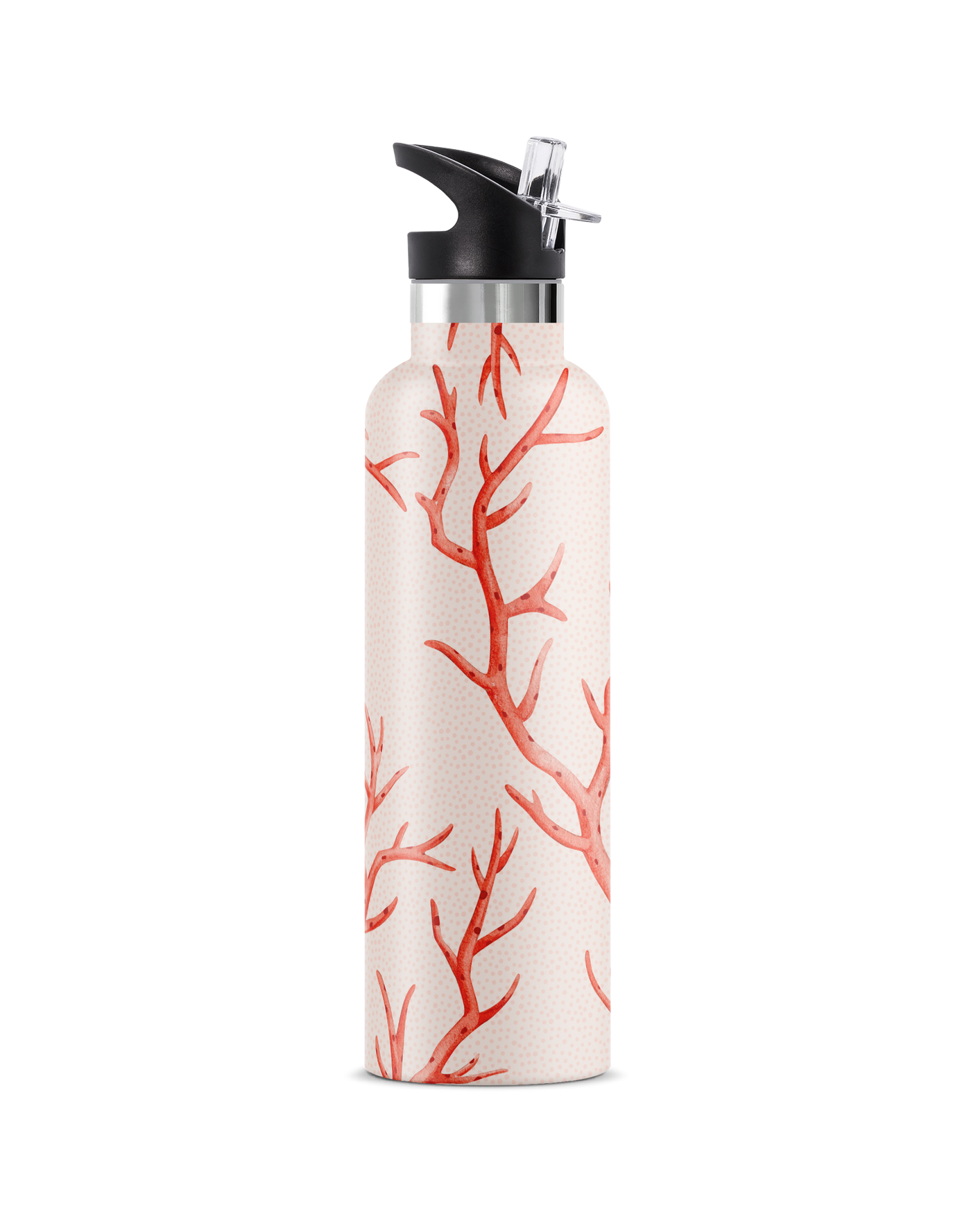 Corallia | 25oz. Insulated Water Bottle