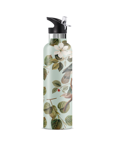 Enchanting | 25oz. Insulated Water Bottle