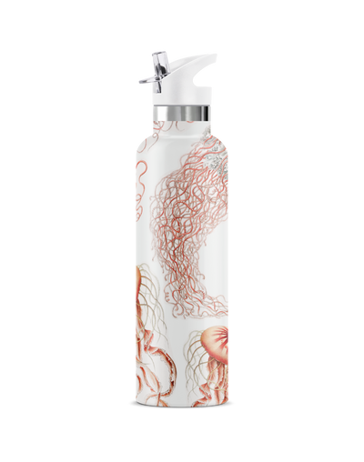 Gelari | 25oz. Insulated Water Bottle