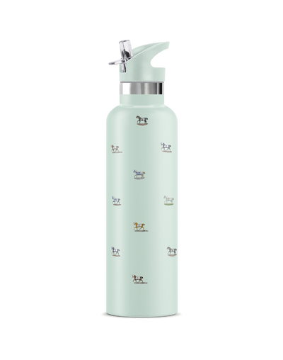 Veredus I | 25oz. Insulated Water Bottle