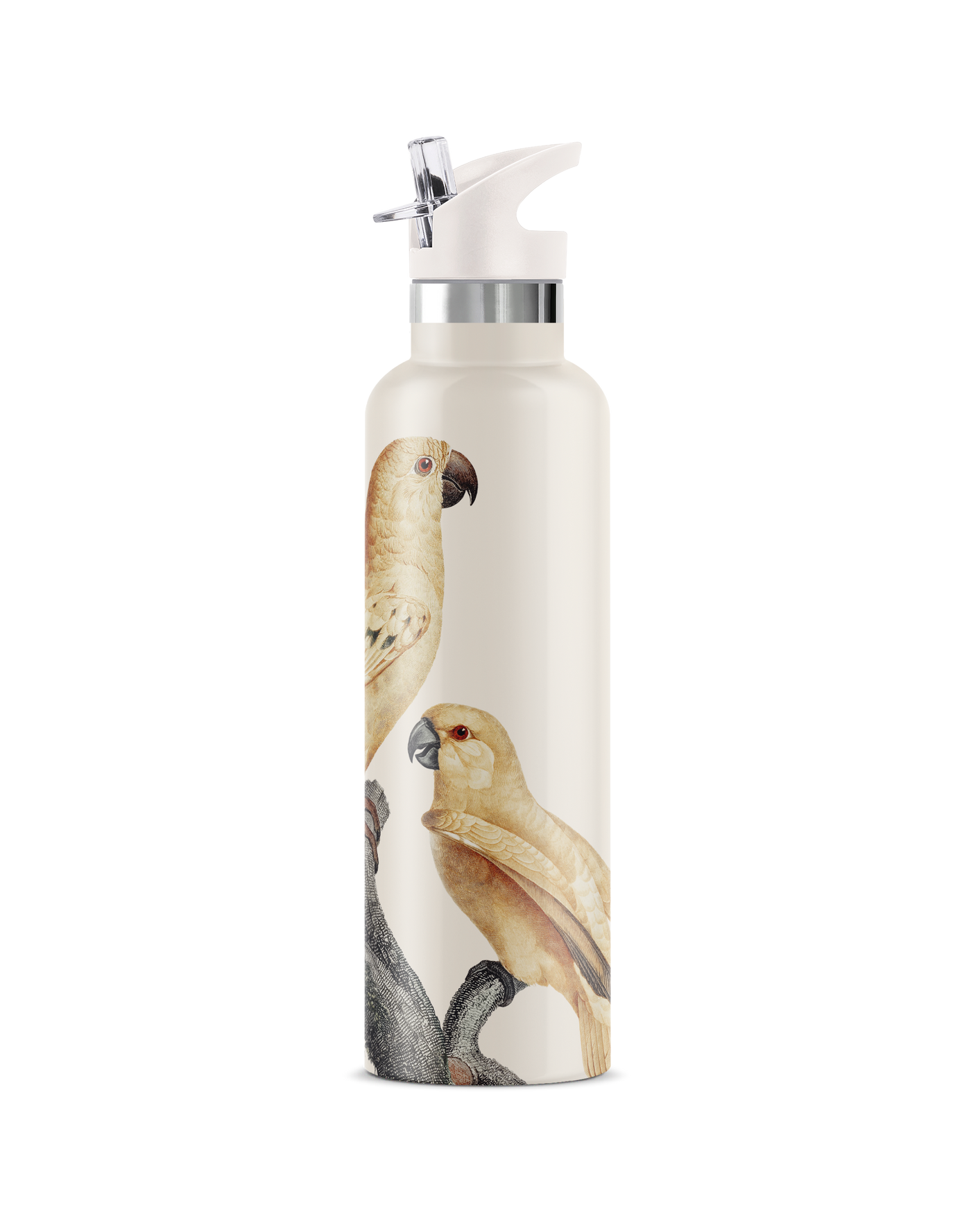 Perico | 25oz. Insulated Water Bottle