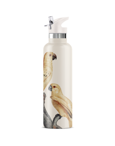 Perico | 25oz. Insulated Water Bottle