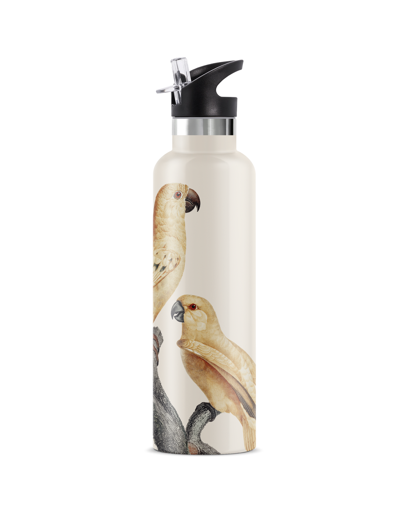 Perico | 25oz. Insulated Water Bottle