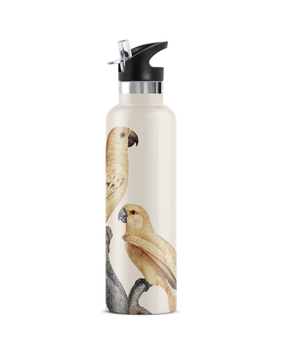 Perico | 25oz. Insulated Water Bottle