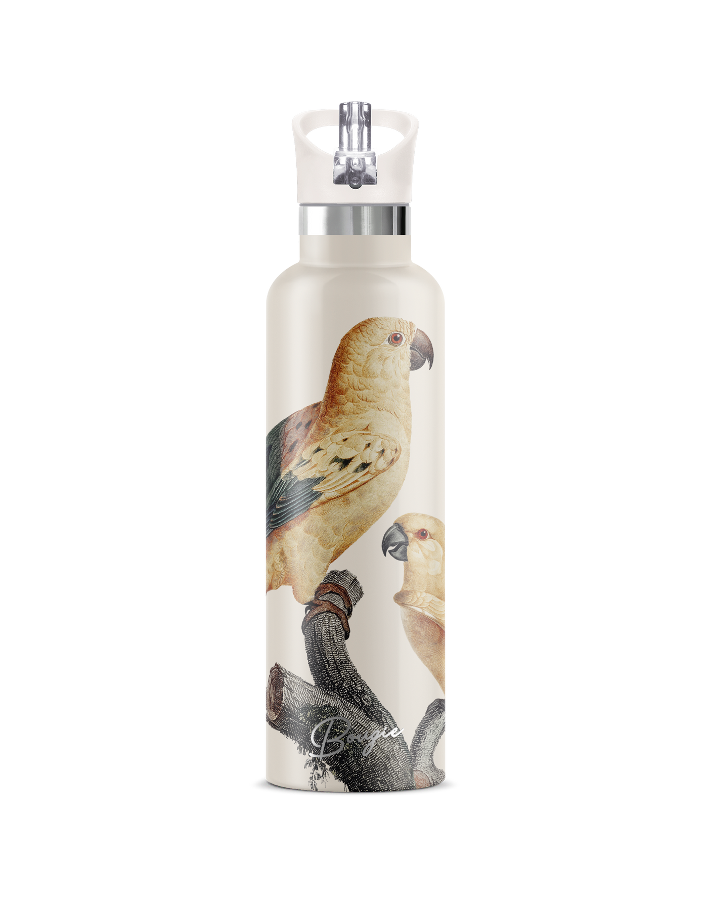 PERICO SUN PARAKEET BIRD WITH MATCHING CREAM FLIP N SIP LID