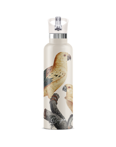 PERICO SUN PARAKEET BIRD WITH MATCHING CREAM FLIP N SIP LID