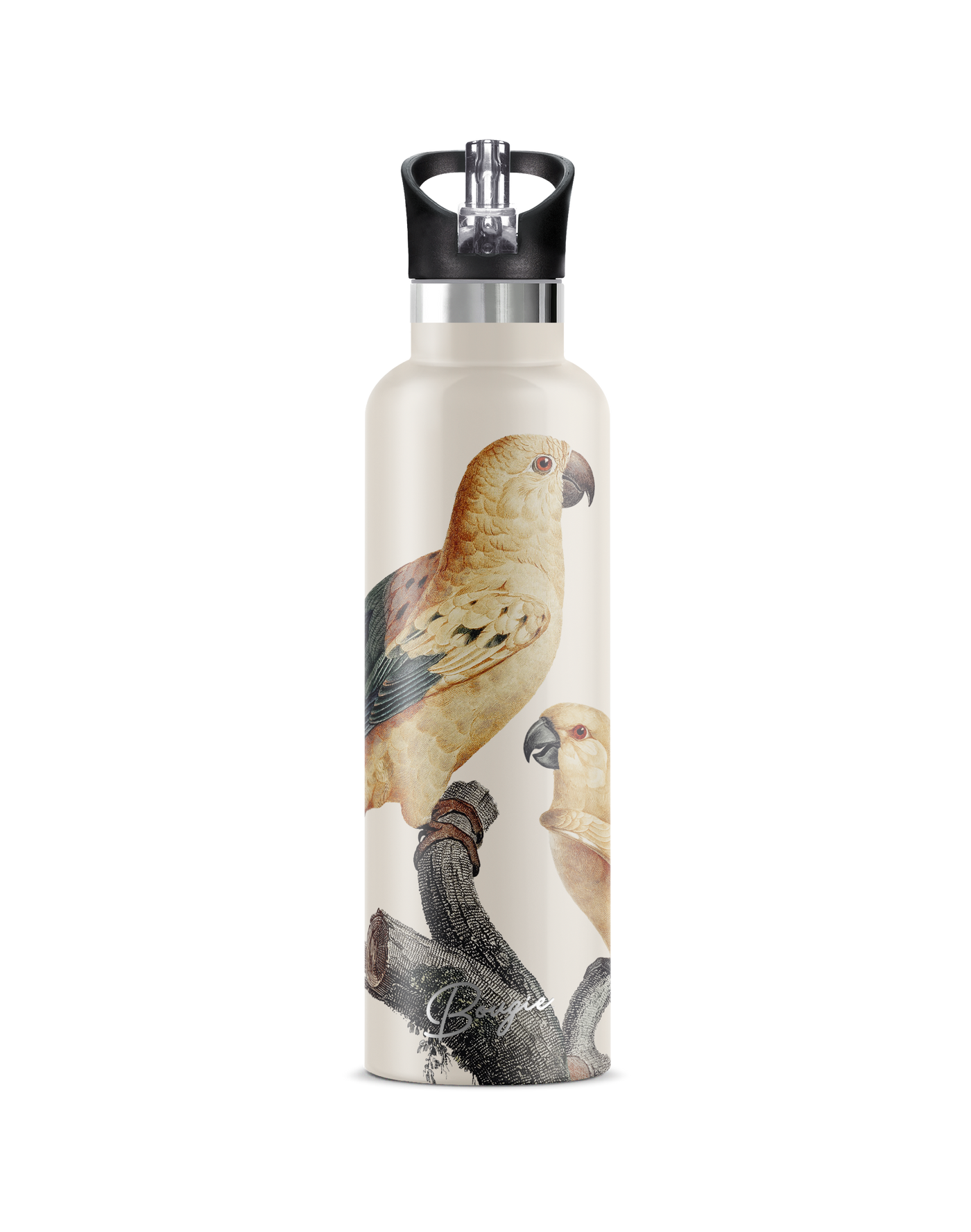 Perico | 25oz. Insulated Water Bottle