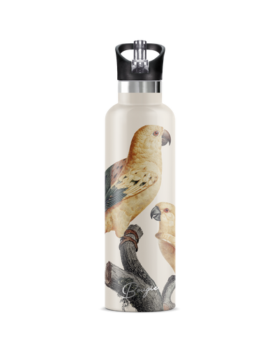 Perico | 25oz. Insulated Water Bottle