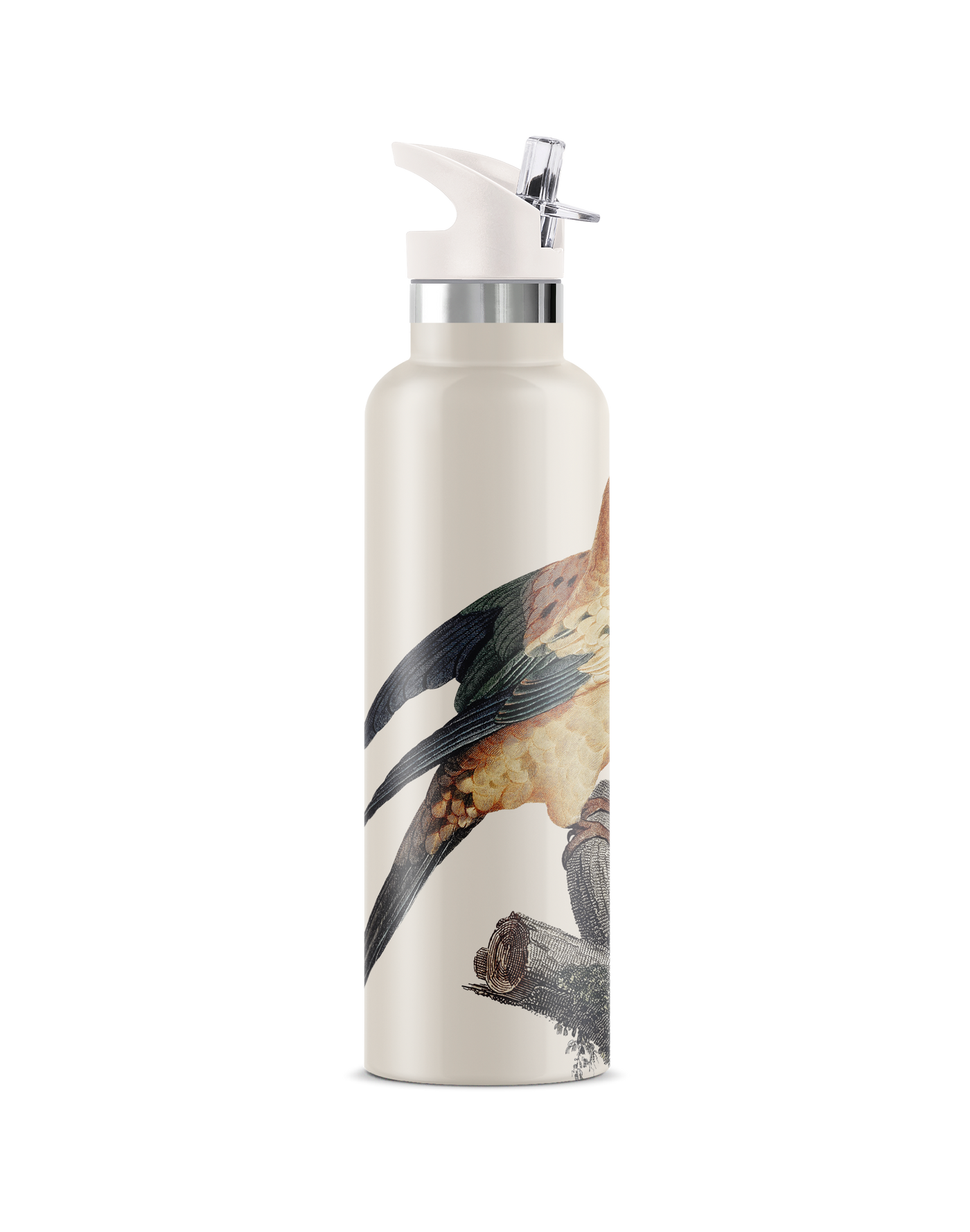 Perico | 25oz. Insulated Water Bottle