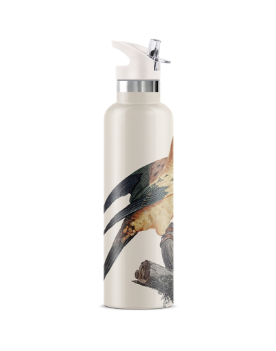 Perico | 25oz. Insulated Water Bottle