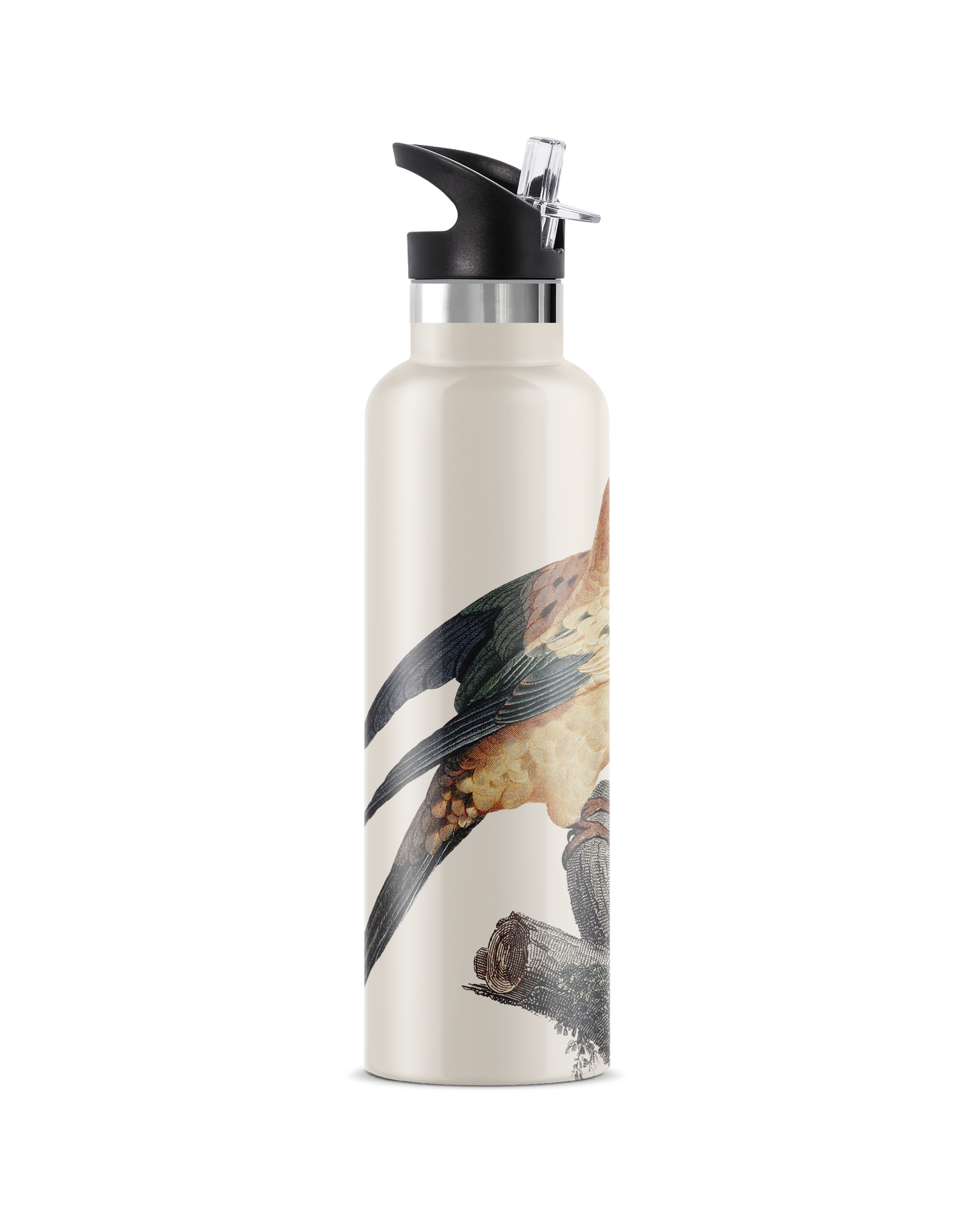 Perico | 25oz. Insulated Water Bottle