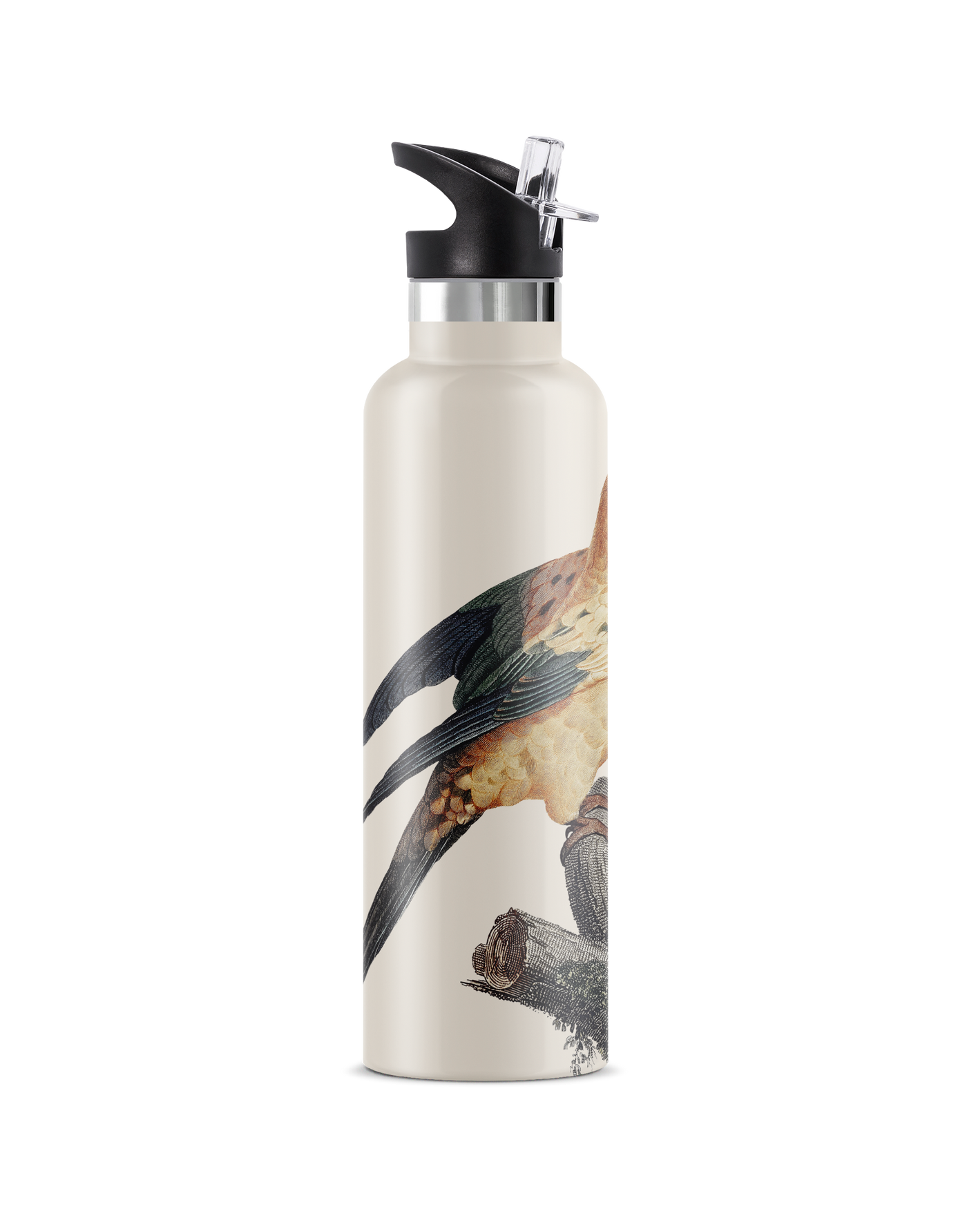 Perico | 25oz. Insulated Water Bottle