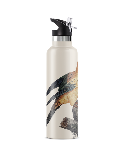 Perico | 25oz. Insulated Water Bottle