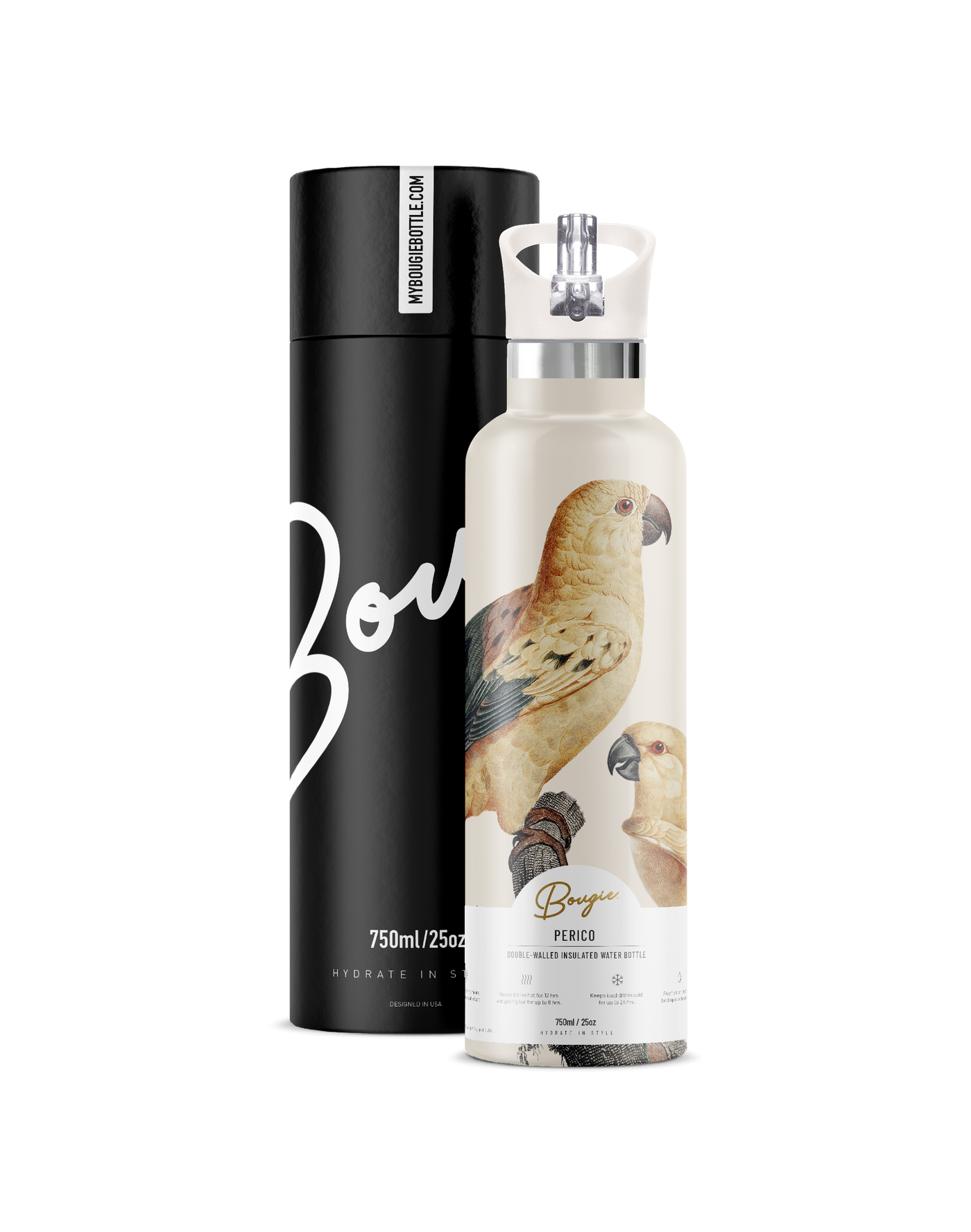 PERICO SUN PARAKEET BIRD WITH MATCHING CREAM FLIP N SIP LID WITH GIFT TUBE PACKAGING