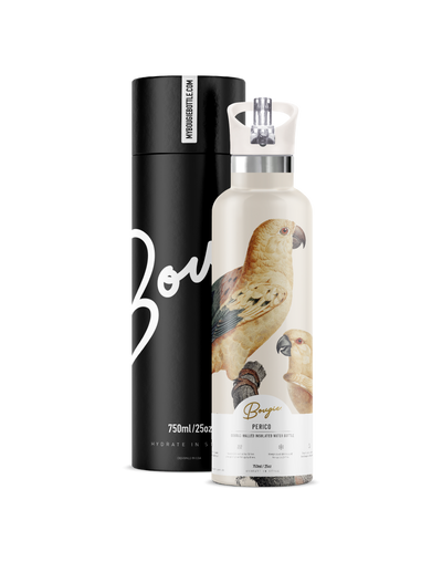 PERICO SUN PARAKEET BIRD WITH MATCHING CREAM FLIP N SIP LID WITH GIFT TUBE PACKAGING