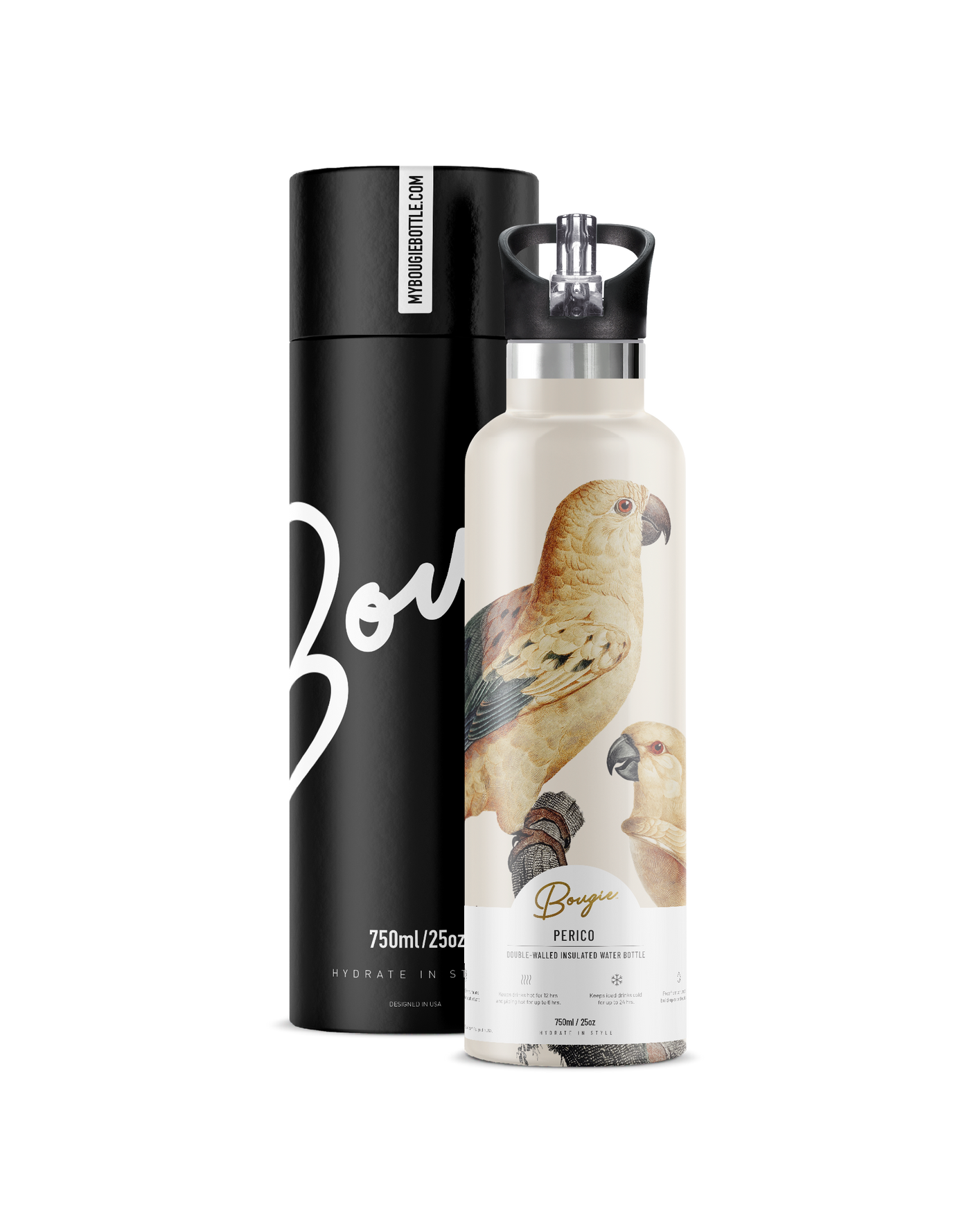 Perico | 25oz. Insulated Water Bottle  bird enthusiast gifts black flip n sip lid with Bougie branded black gift tube.