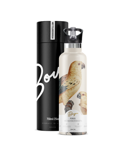 Perico | 25oz. Insulated Water Bottle  bird enthusiast gifts black flip n sip lid with Bougie branded black gift tube.