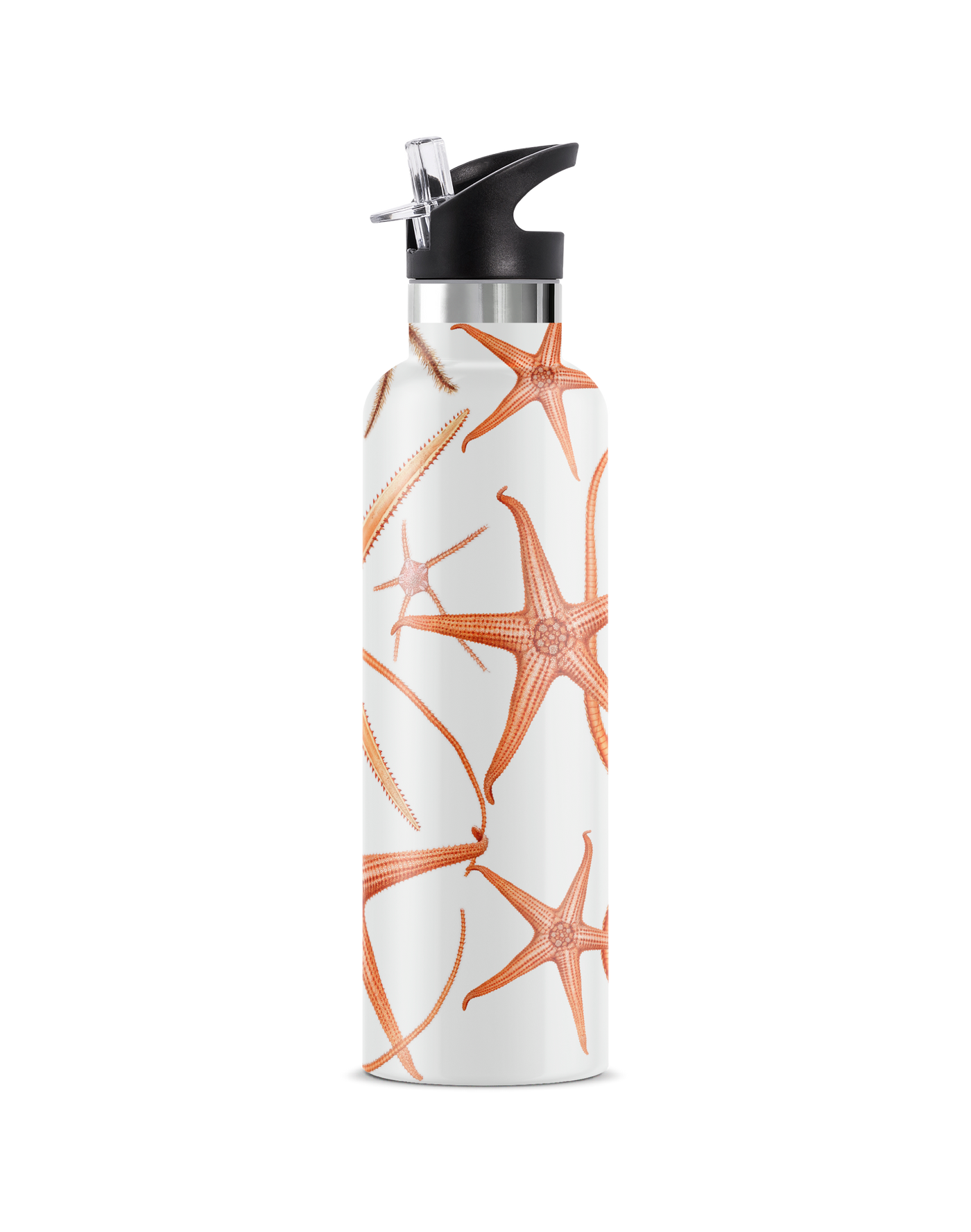 Stella Piscis | 25oz. Insulated Water Bottle