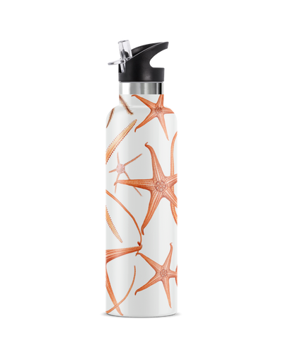 Stella Piscis | 25oz. Insulated Water Bottle