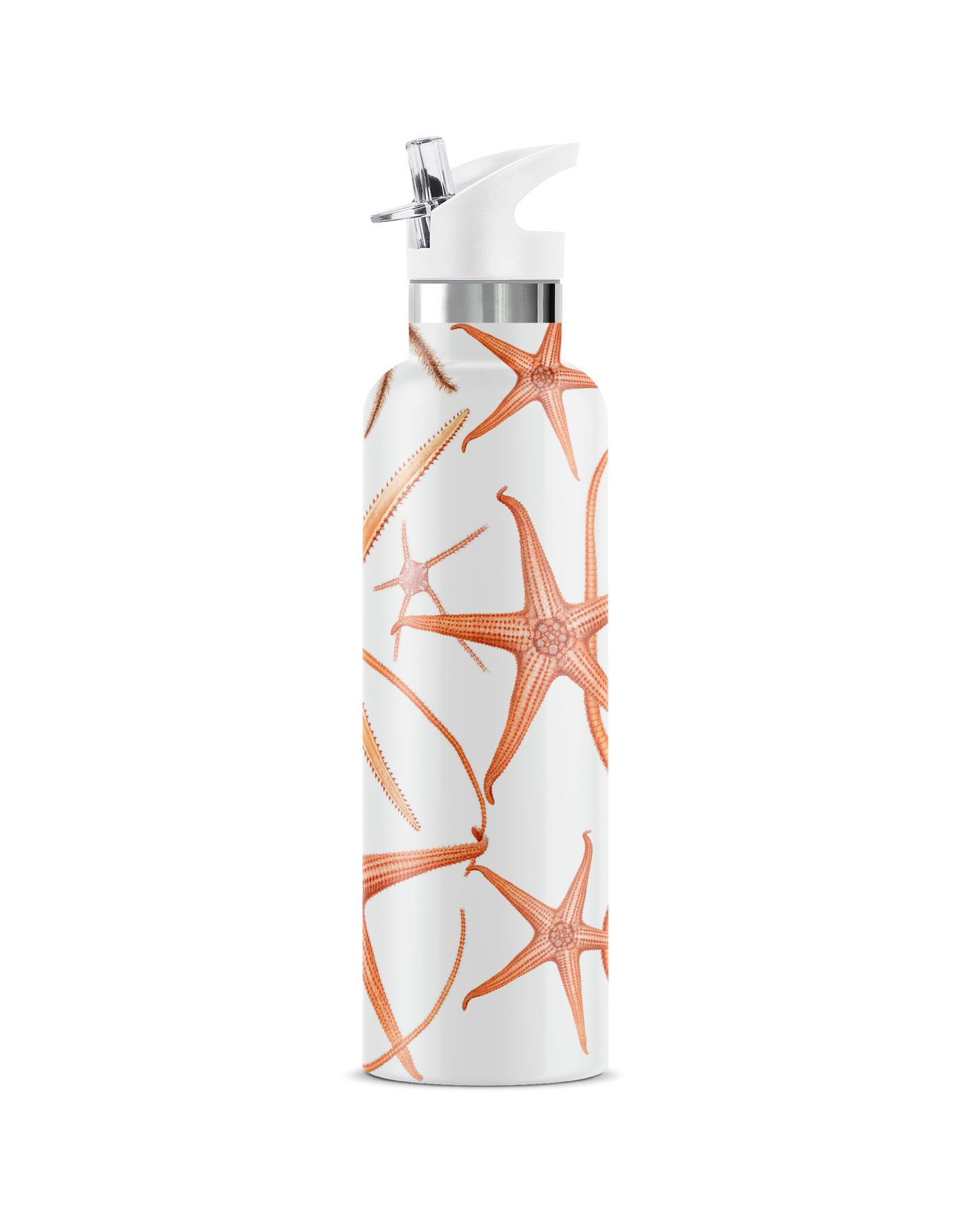 Stella Piscis | 25oz. Insulated Water Bottle