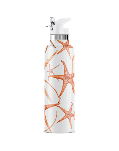 Stella Piscis | 25oz. Insulated Water Bottle