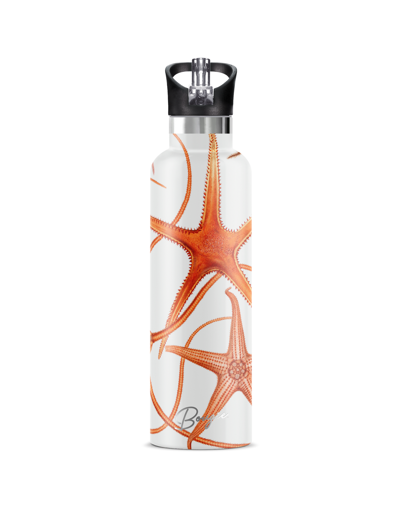 Stella Piscis | 25oz. Insulated Water Bottle