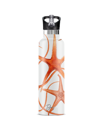 Stella Piscis | 25oz. Insulated Water Bottle