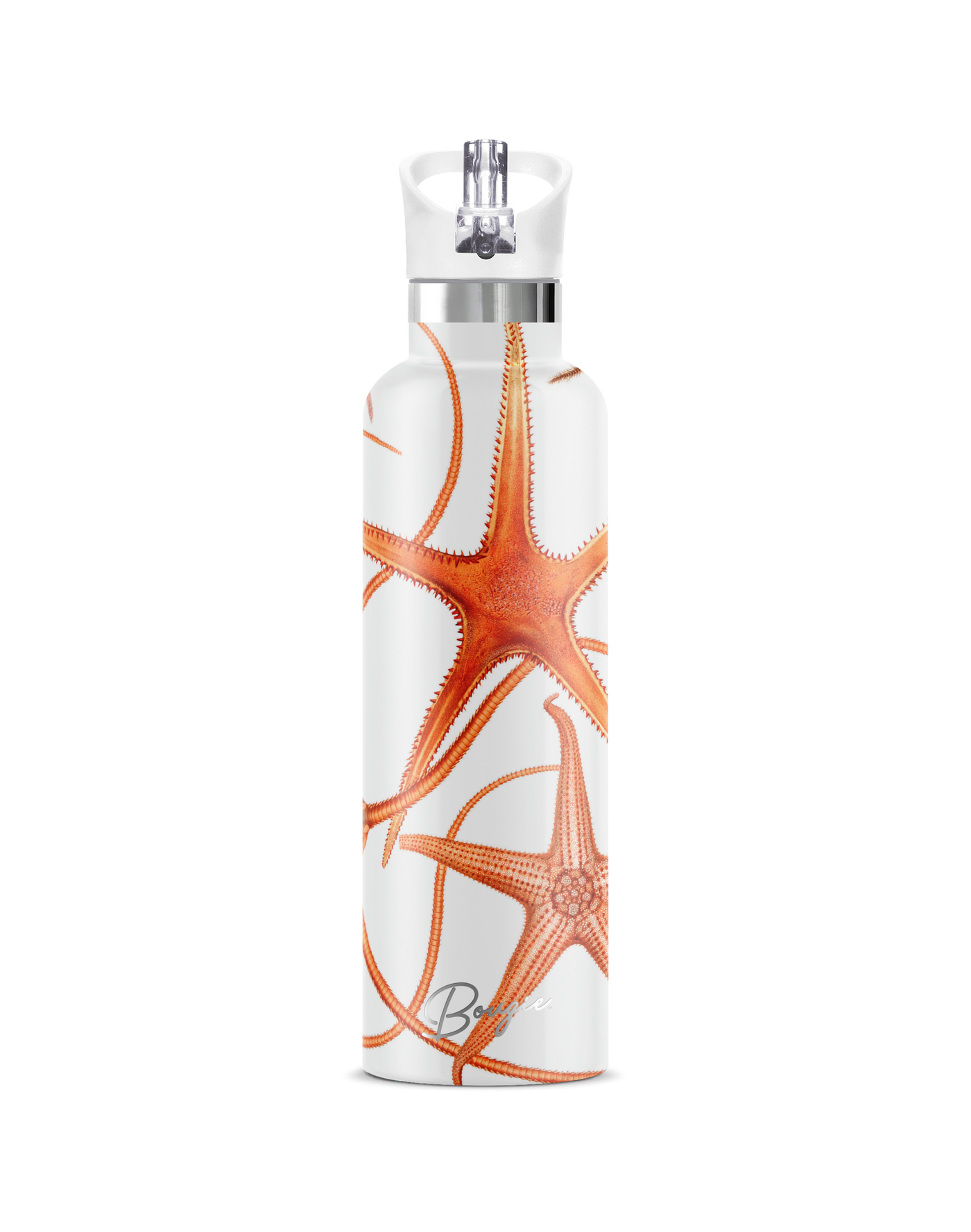 Stella Piscis | 25oz. Insulated Water Bottle