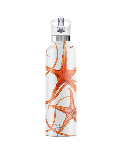 Stella Piscis | 25oz. Insulated Water Bottle