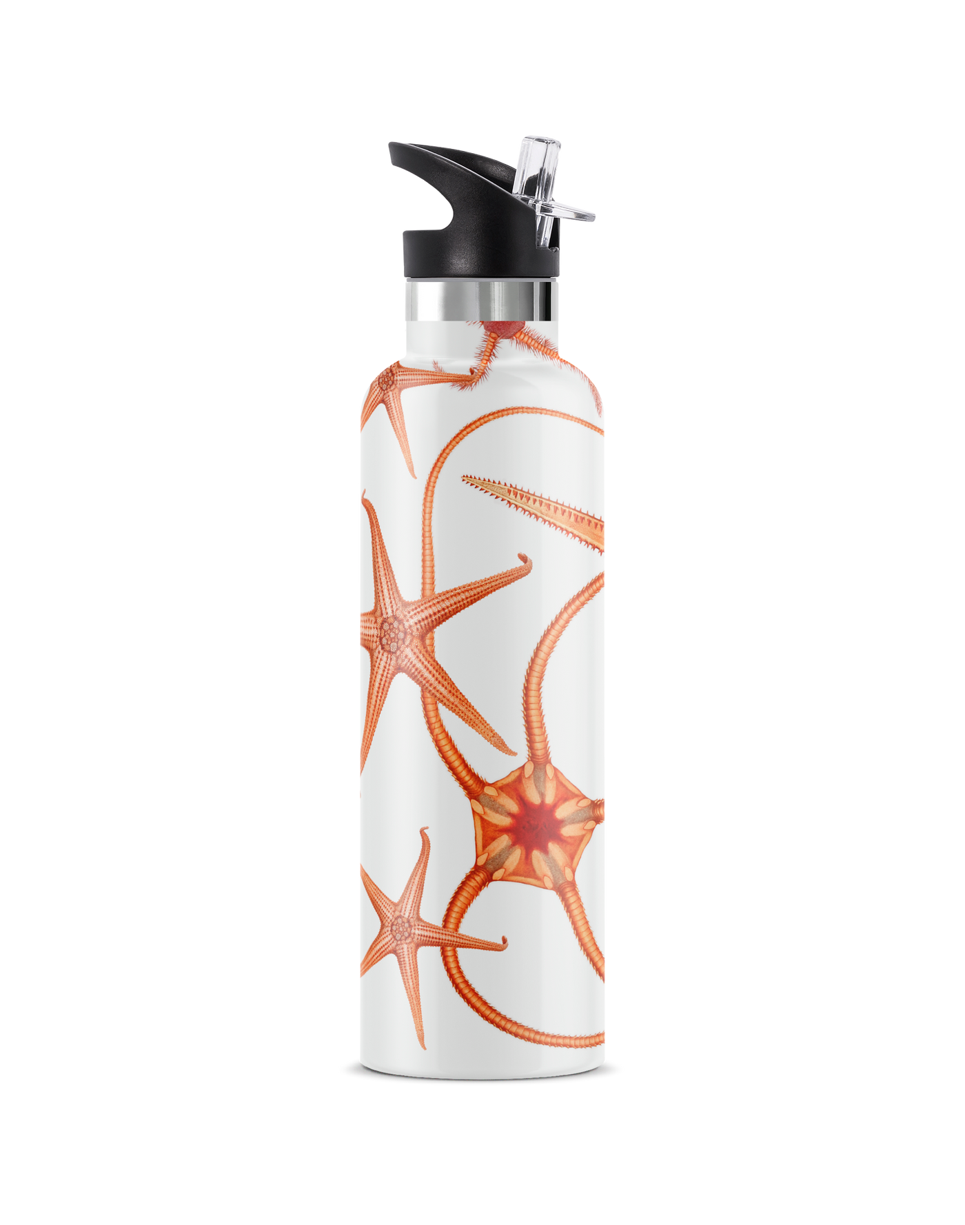 Stella Piscis | 25oz. Insulated Water Bottle