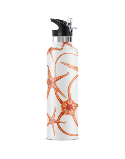 Stella Piscis | 25oz. Insulated Water Bottle