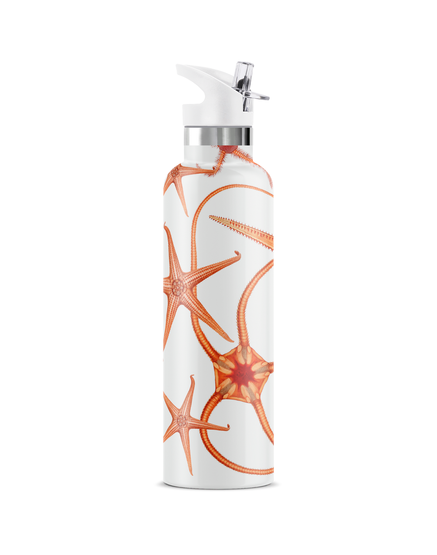 Stella Piscis | 25oz. Insulated Water Bottle