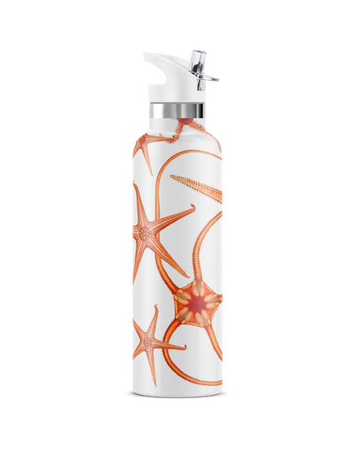 Stella Piscis | 25oz. Insulated Water Bottle