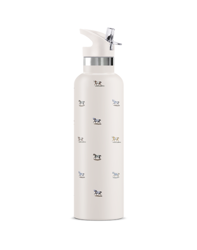 Veredus II | 25oz. Insulated Water Bottle