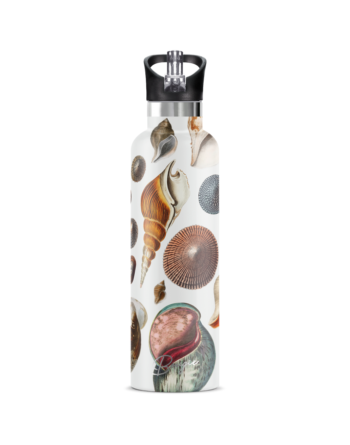 My Bougie Bottle 25oz Insulated Water Bottle – Conchas Maris