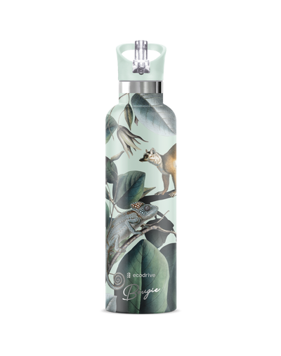 Ecodrive | Lemeur 25oz. Insulated Water Bottle - My Bougie Bottle