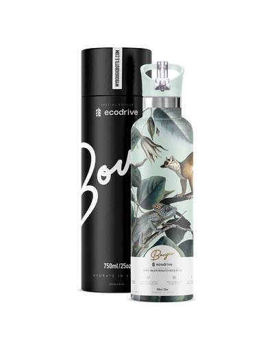 Ecodrive | Lemeur 25oz. Insulated Water Bottle - My Bougie Bottle