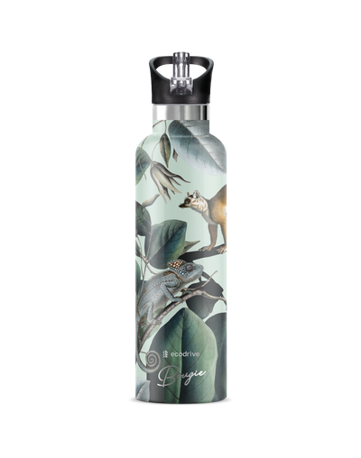 Ecodrive | Lemeur 25oz. Insulated Water Bottle - My Bougie Bottle