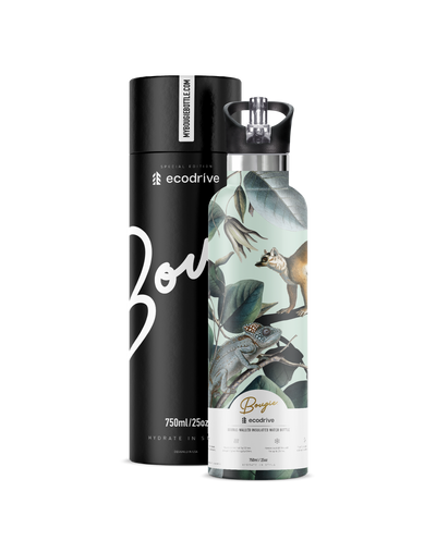 Ecodrive | Lemeur 25oz. Insulated Water Bottle - My Bougie Bottle