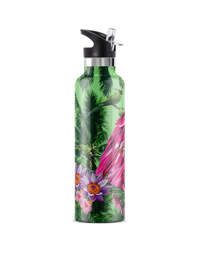Macaw | 25oz. Insulated Water Bottle - My Bougie Bottle