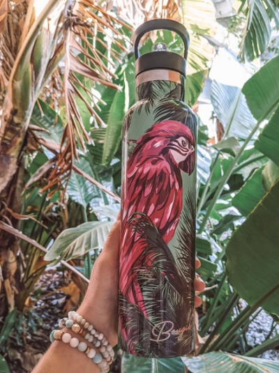 Macaw | 25oz. Insulated Water Bottle