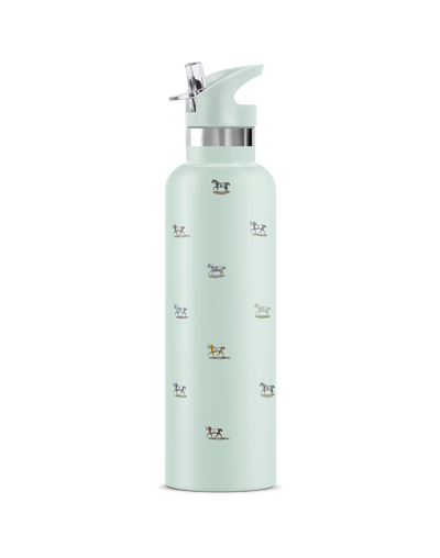 Veredus I | 25oz. Insulated Water Bottle - My Bougie Bottle