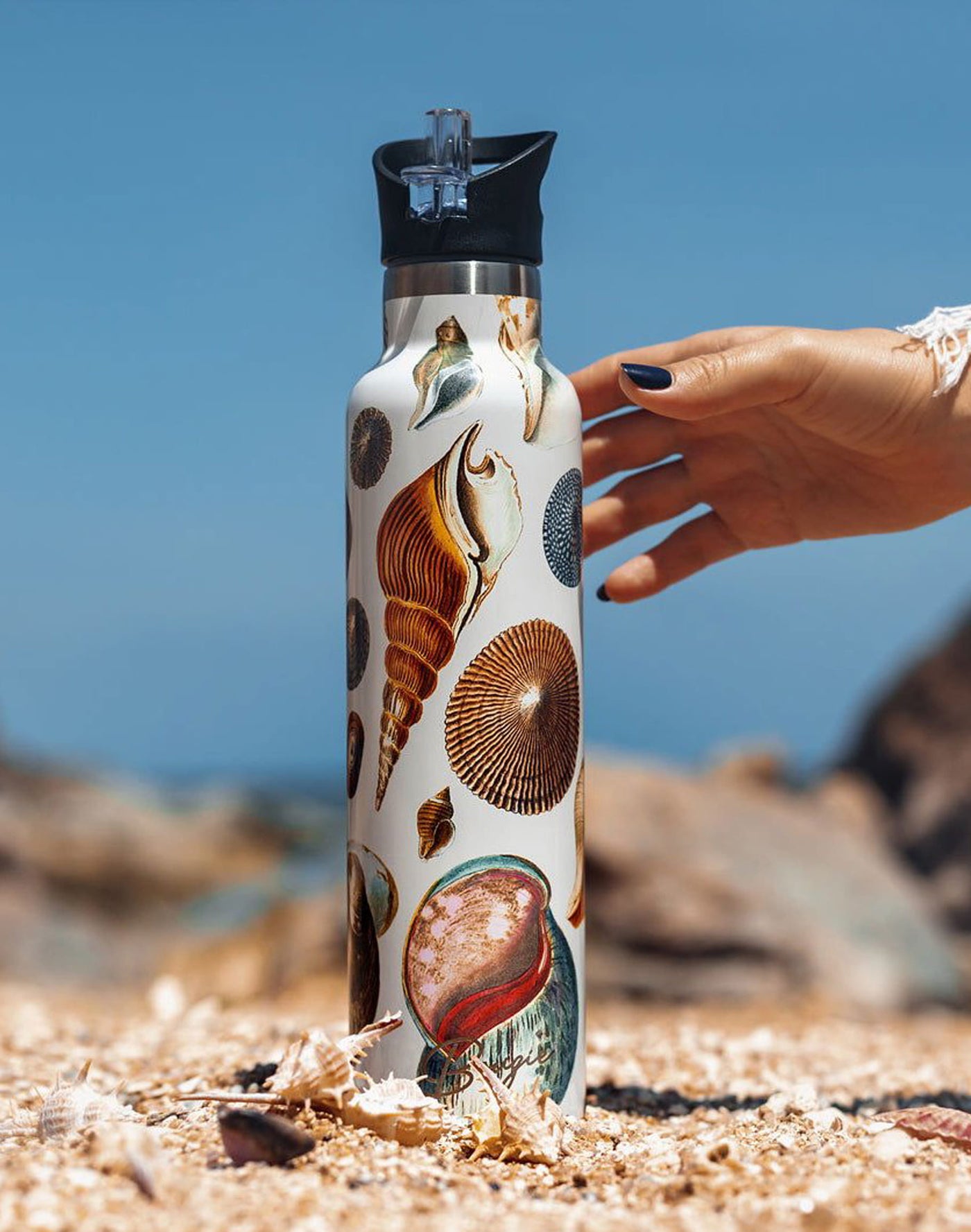 Conchas Maris Insulated Bottle with Black Lid Featuring a Vintage Seashell Art design